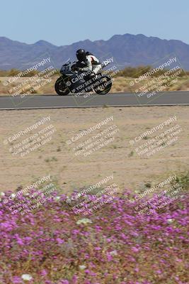 media/Mar-12-2023-SoCal Trackdays (Sun) [[d4c8249724]]/Turn 15 Inside Bloom (130pm)/